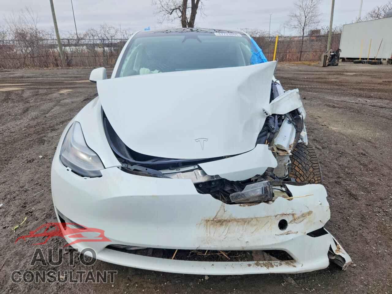 TESLA MODEL Y 2024 - 7SAYGDEE3RF109676