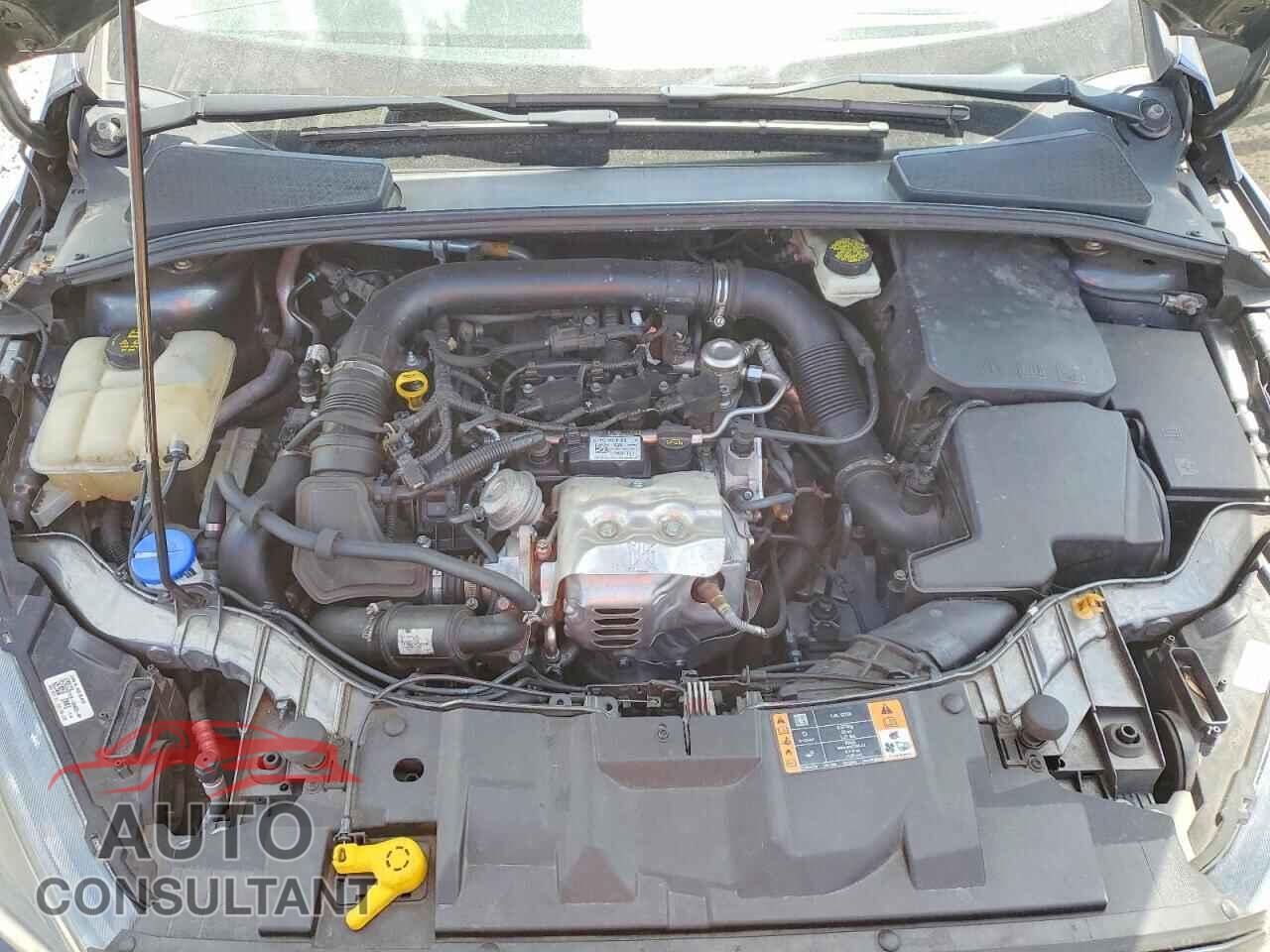 FORD FOCUS 2017 - 1FADP3FE0HL298938