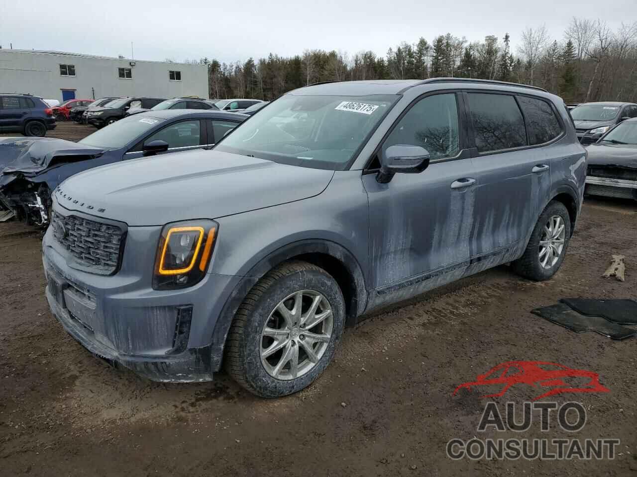 KIA TELLURIDE 2021 - 5XYP5DHC9MG137637