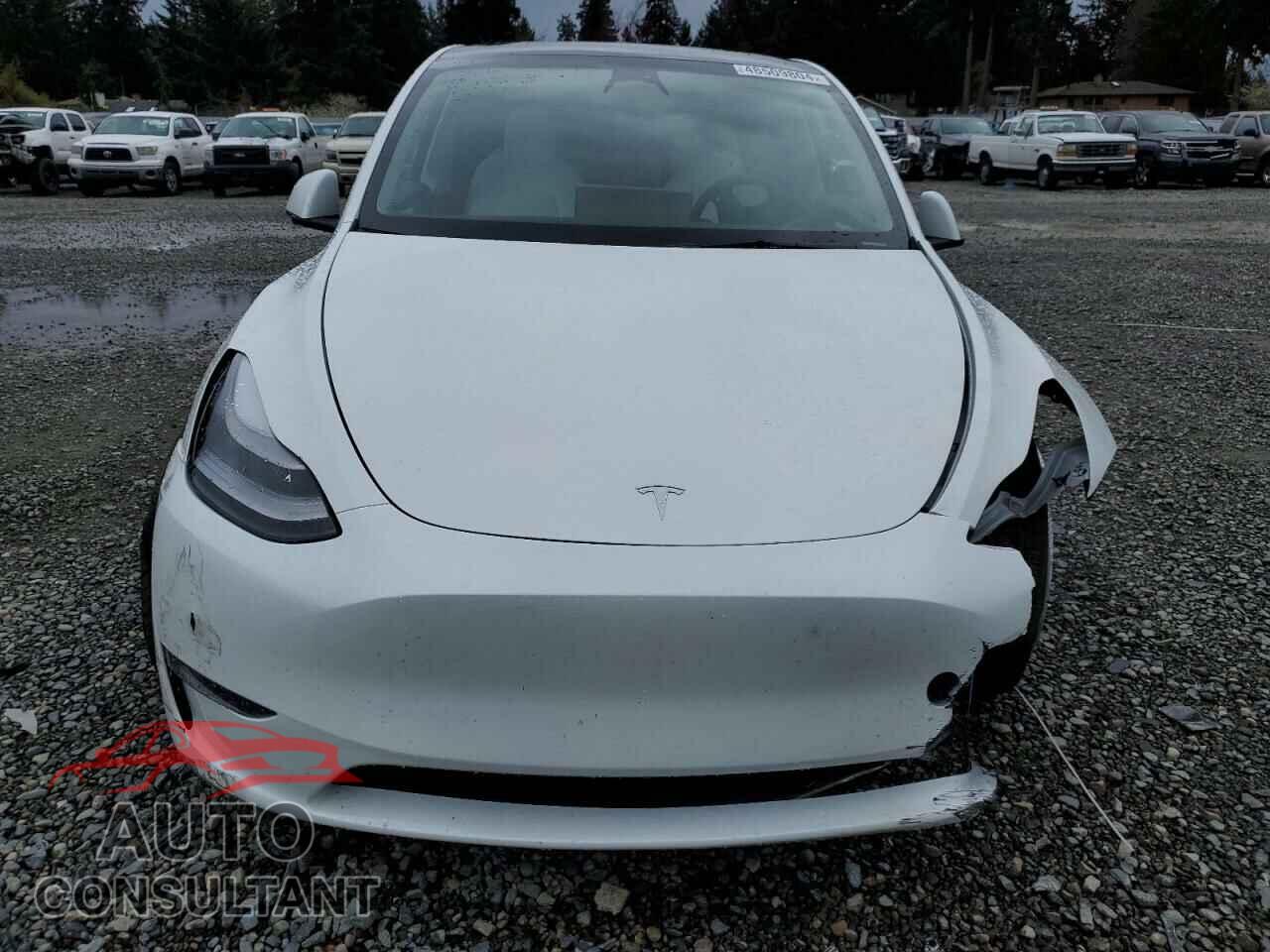 TESLA MODEL Y 2023 - 7SAYGDEE6PF782684