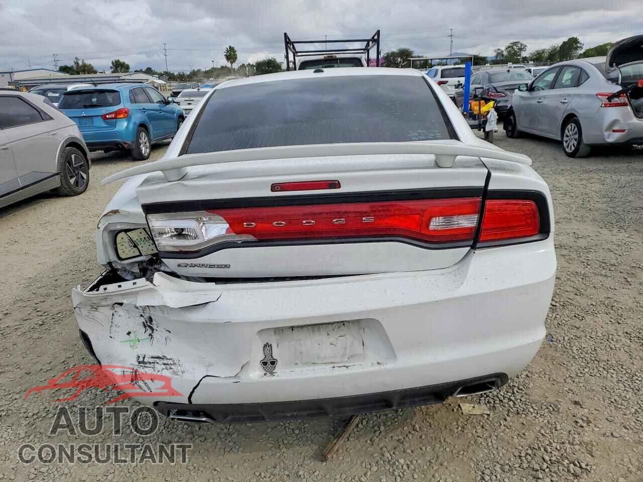 DODGE CHARGER 2014 - 2C3CDXHG2EH338390