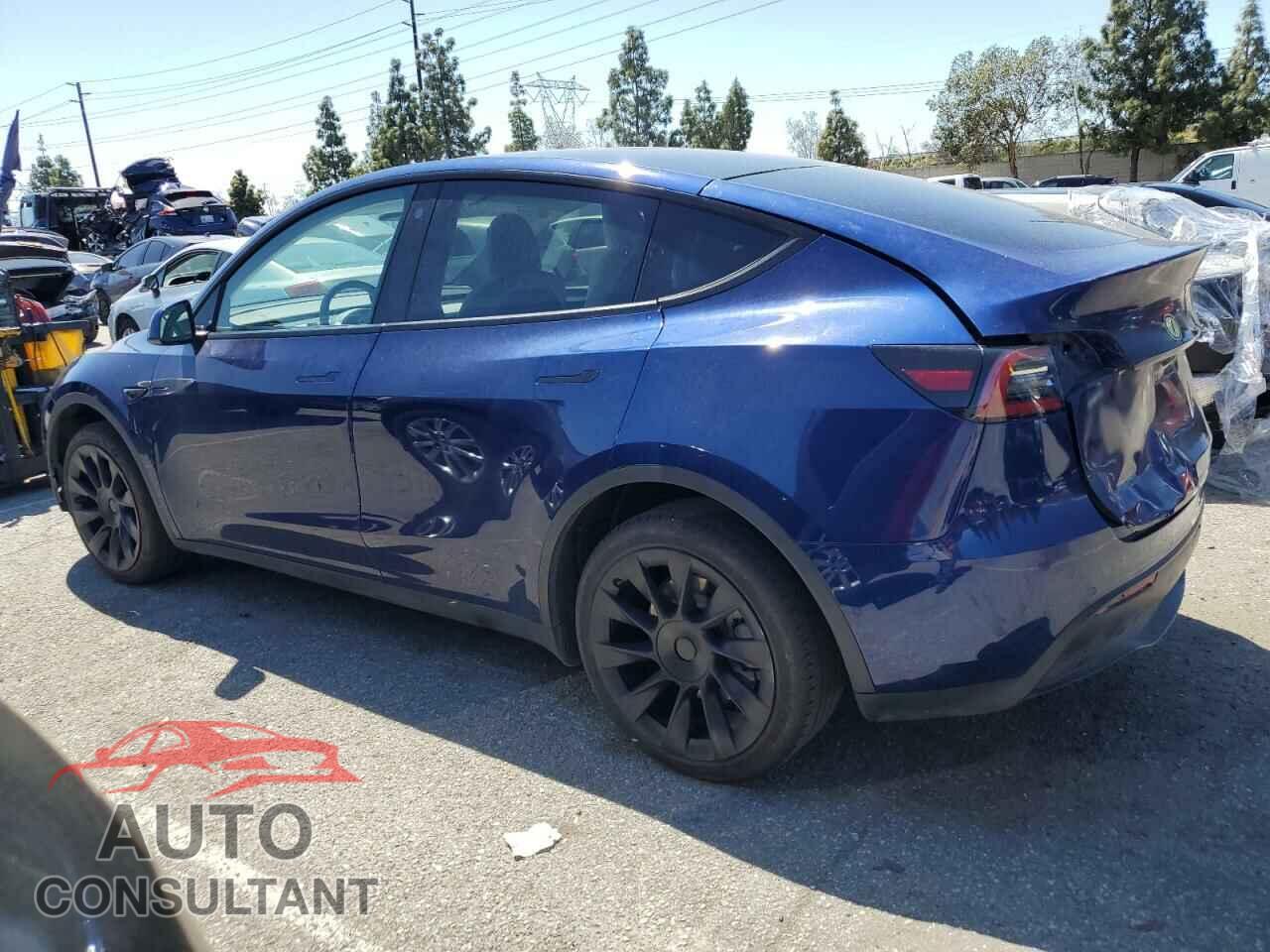 TESLA MODEL Y 2022 - 7SAYGDEEXNF543989