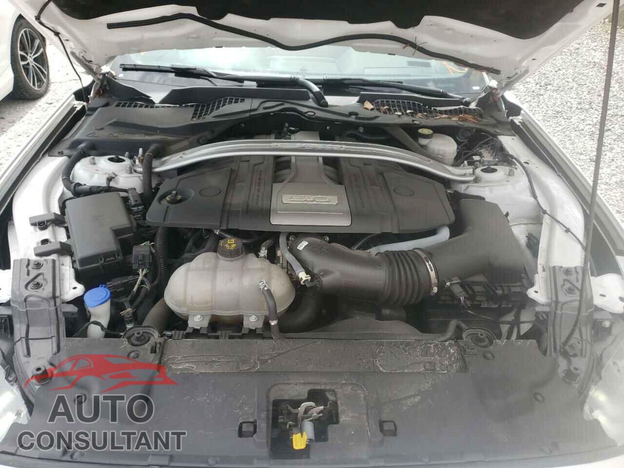 FORD MUSTANG 2020 - 1FATP8FF0L5131316