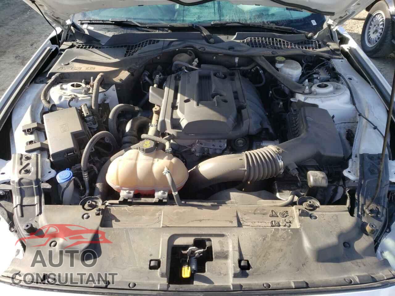 FORD MUSTANG 2020 - 1FATP8UH7L5119085