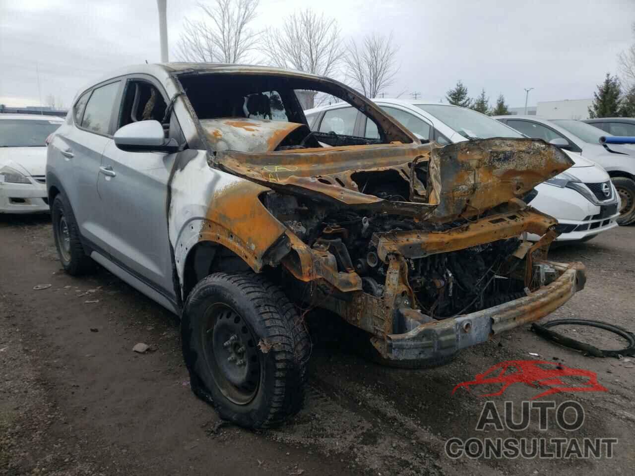 HYUNDAI TUCSON 2017 - KM8J2CA48HU424317