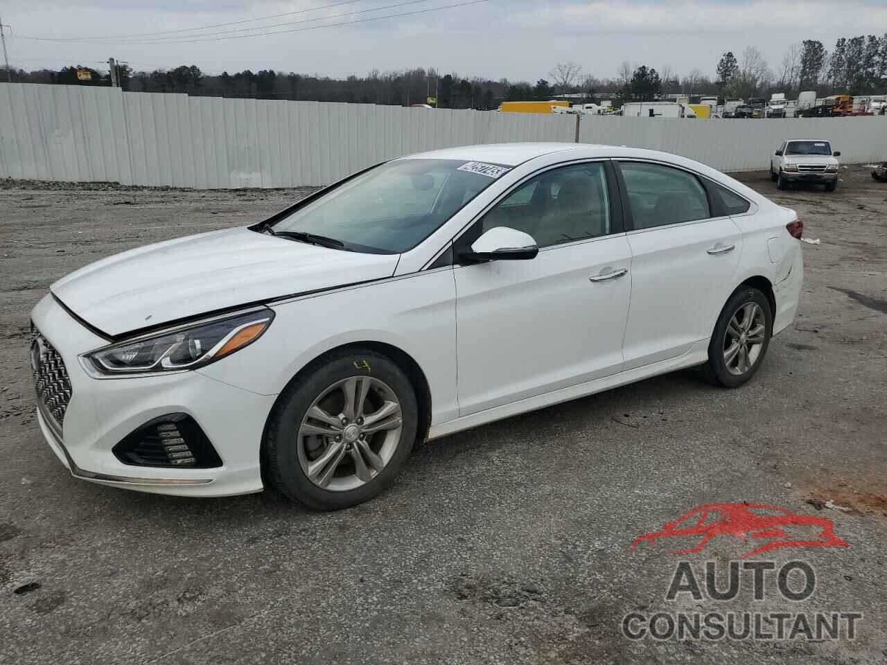 HYUNDAI SONATA 2019 - 5NPE34AF0KH750950