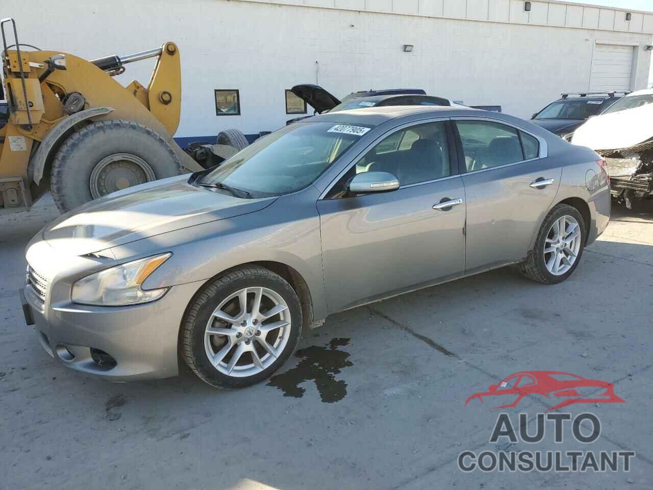 NISSAN MAXIMA 2009 - 1N4AA51E19C856630