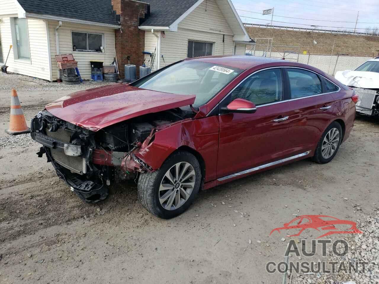 HYUNDAI SONATA 2016 - 5NPE34AF7GH344056
