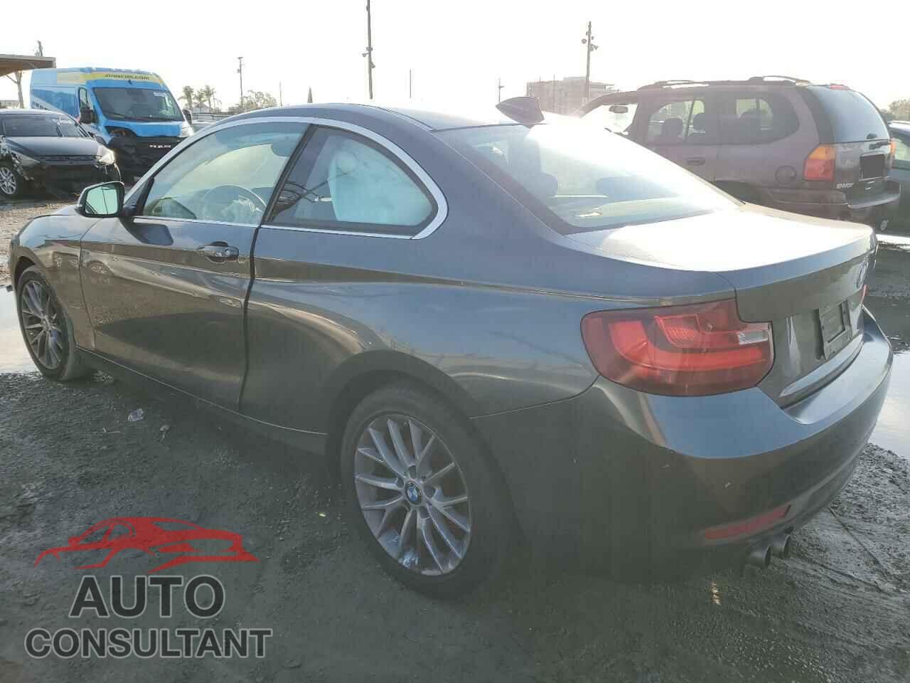 BMW 2 SERIES 2014 - WBA1F5C5XEV256256