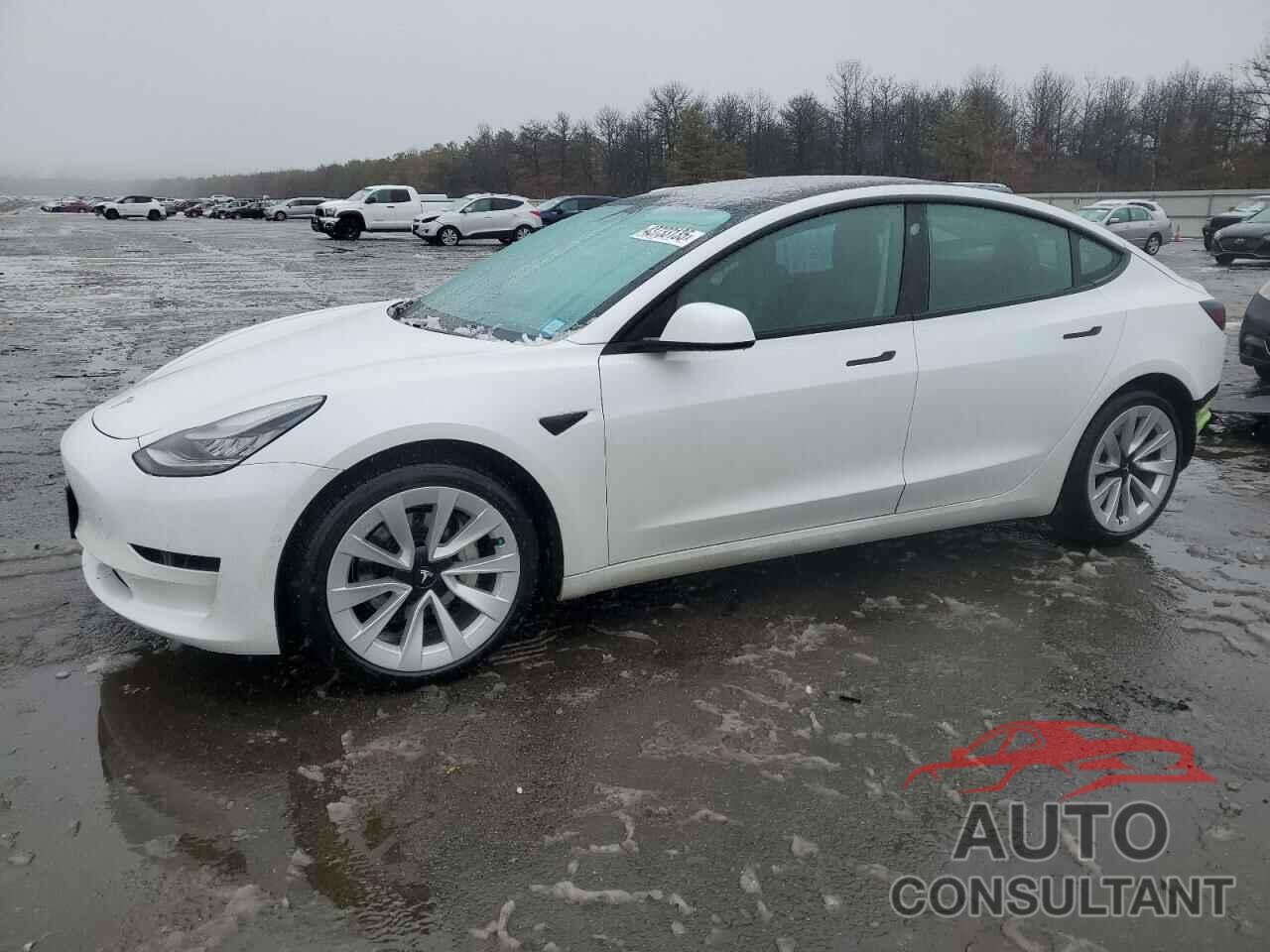 TESLA MODEL 3 2021 - 5YJ3E1EA9MF861531