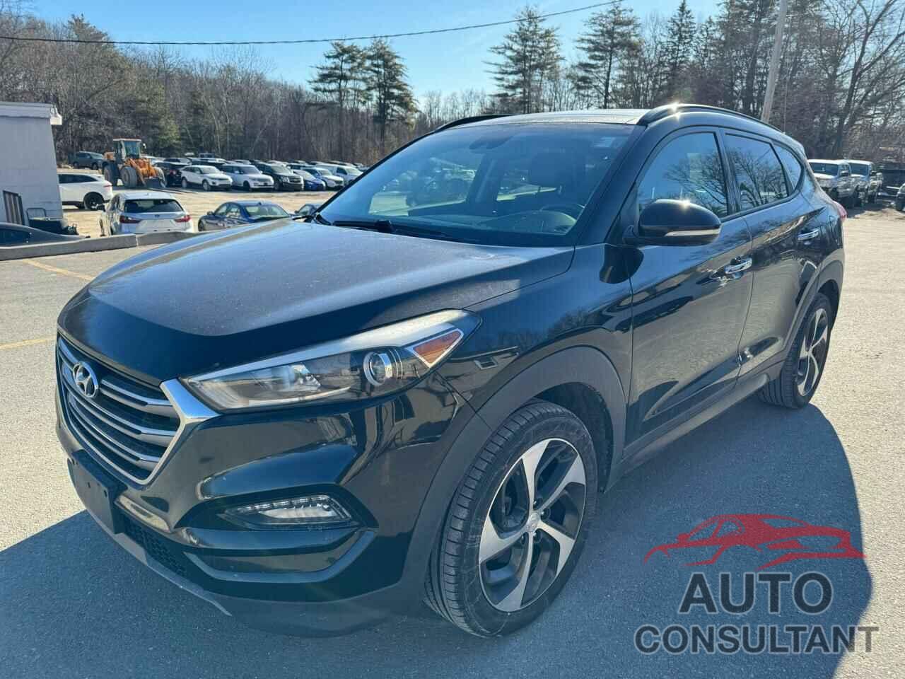 HYUNDAI TUCSON 2016 - KM8J3CA23GU116689