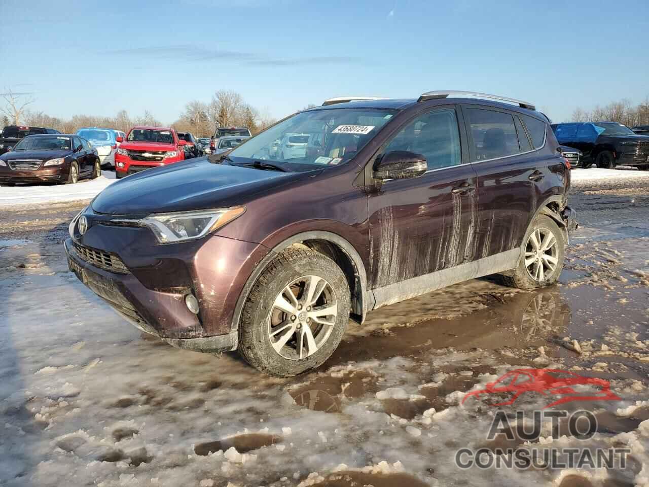 TOYOTA RAV4 2016 - 2T3RFREV2GW476674
