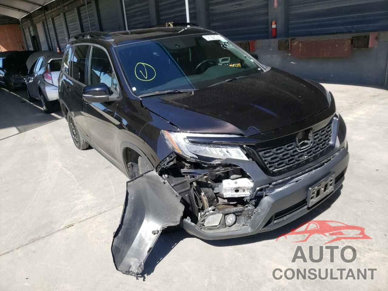 HONDA PASSPORT 2019 - 5FNYF7H93KB003475