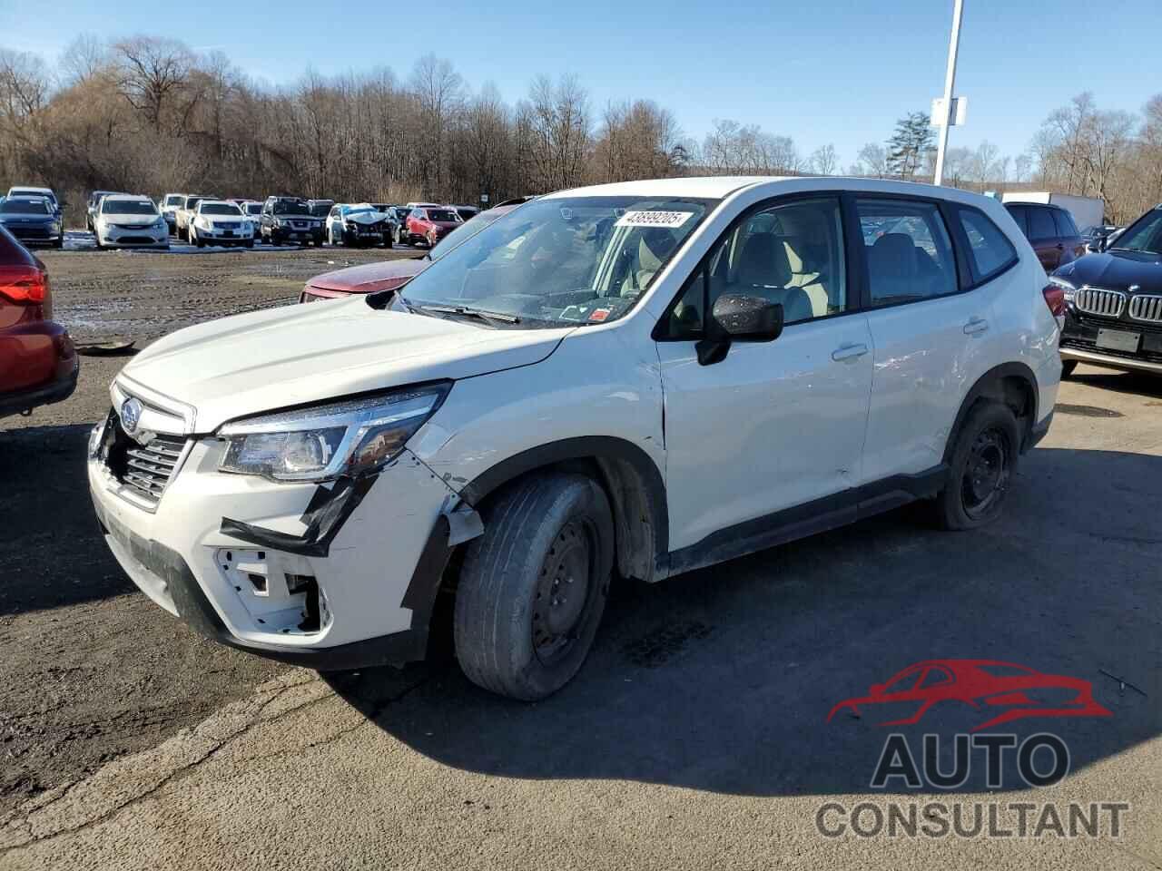 SUBARU FORESTER 2019 - JF2SKAAC7KH539819