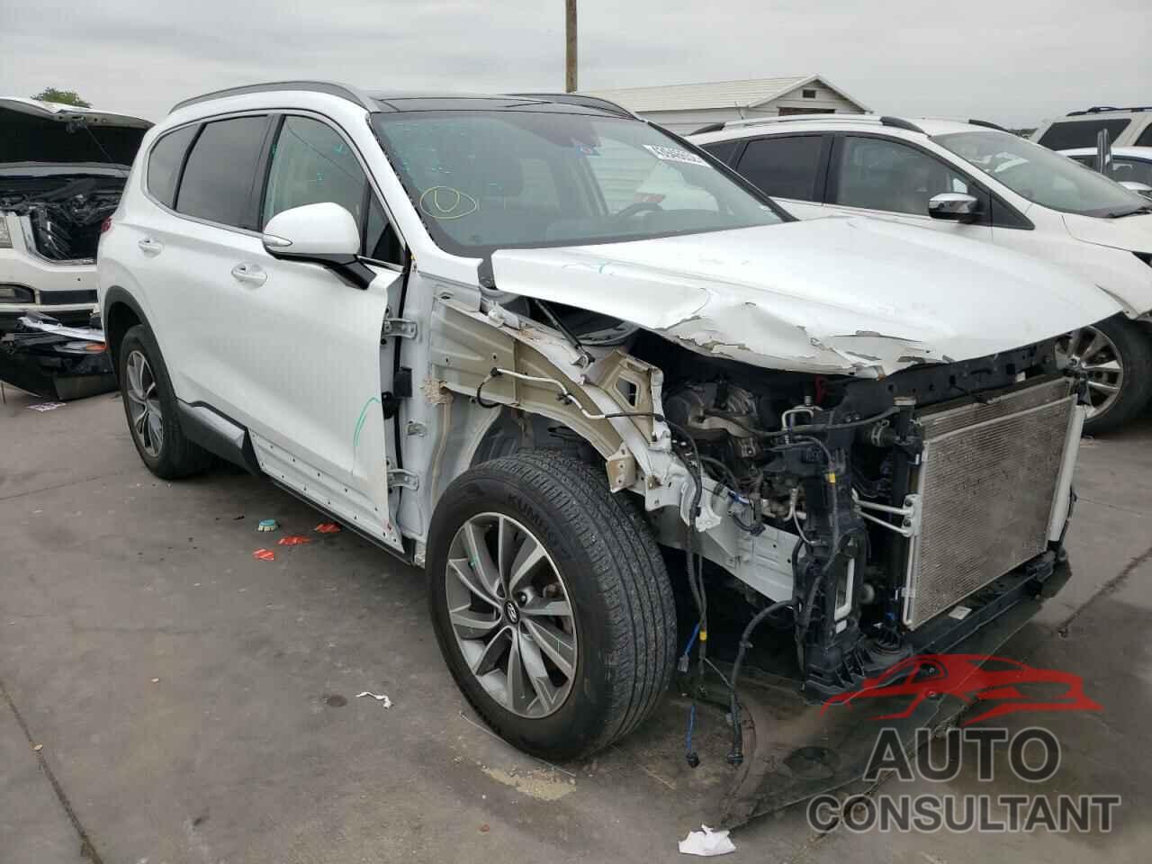 HYUNDAI SANTA FE 2019 - 5NMS53AD7KH032198