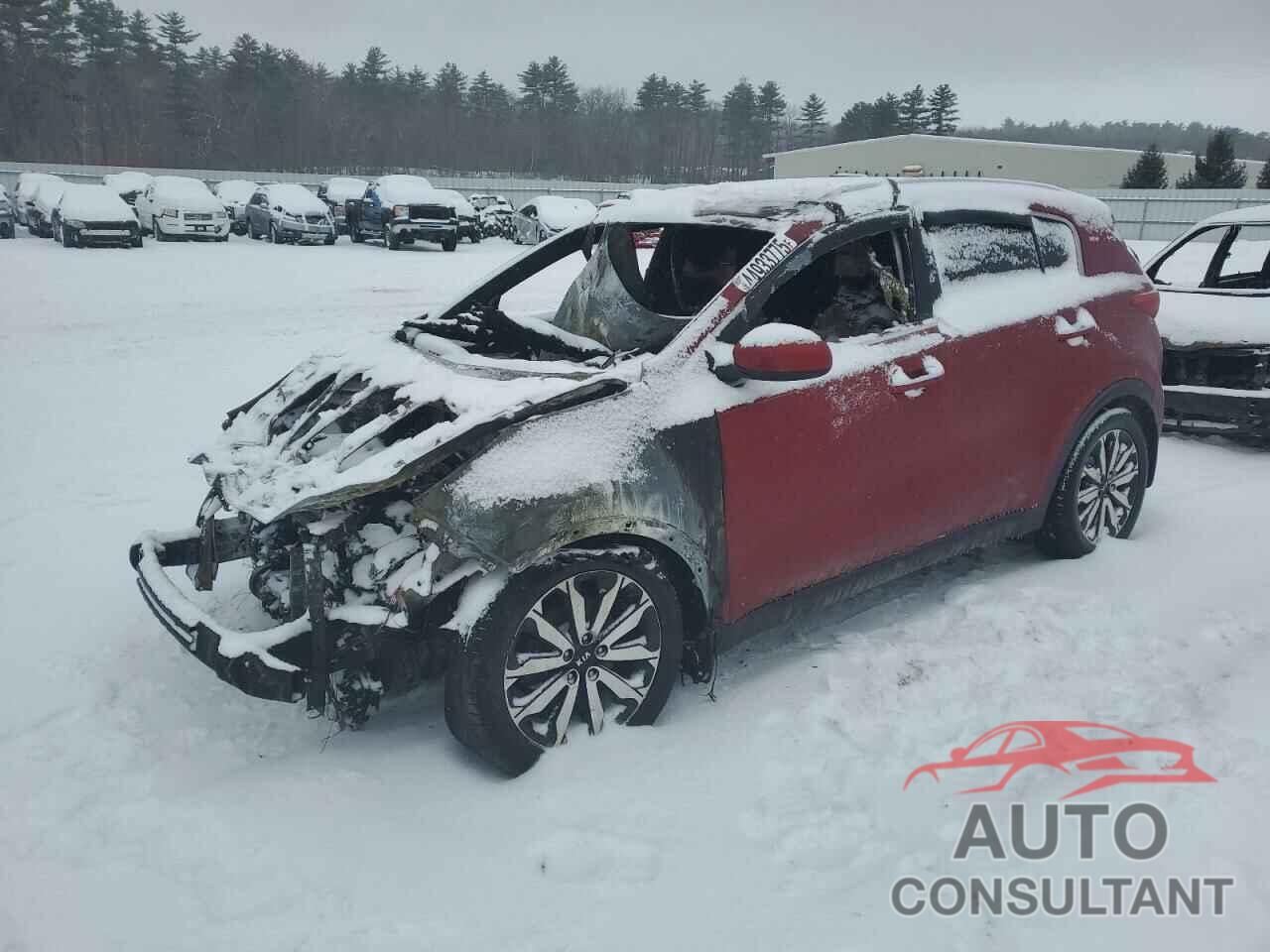 KIA SPORTAGE 2017 - KNDPNCAC5H7208761