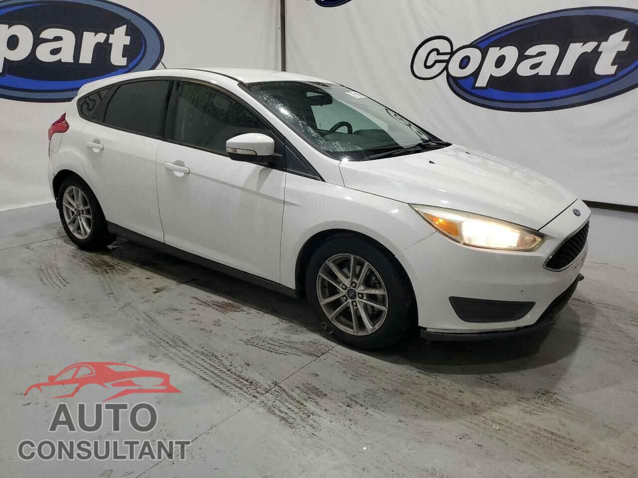 FORD FOCUS 2016 - 1FADP3K29GL263065
