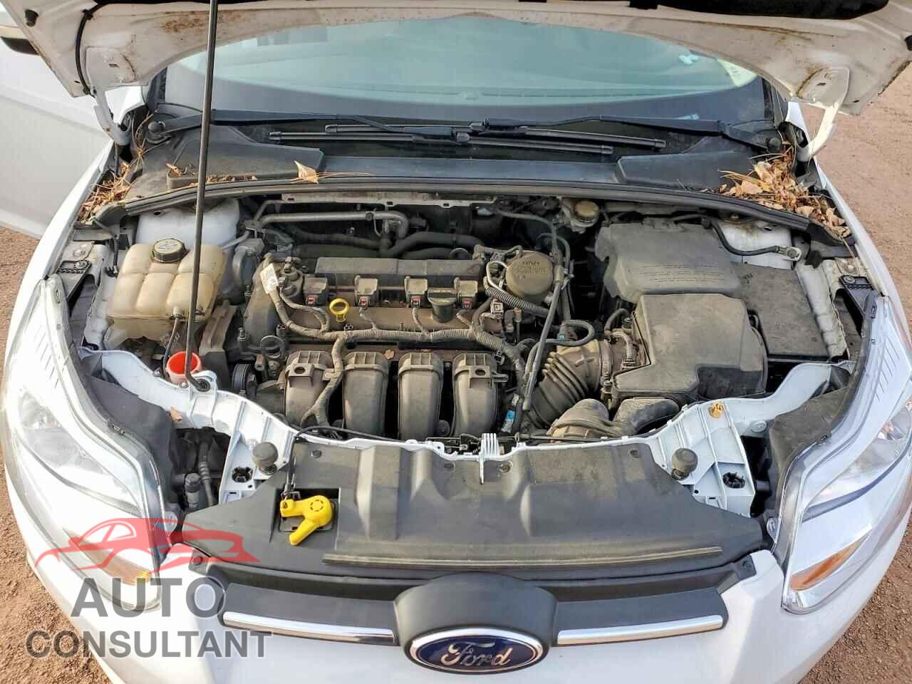 FORD FOCUS 2013 - 1FADP3F22DL266024