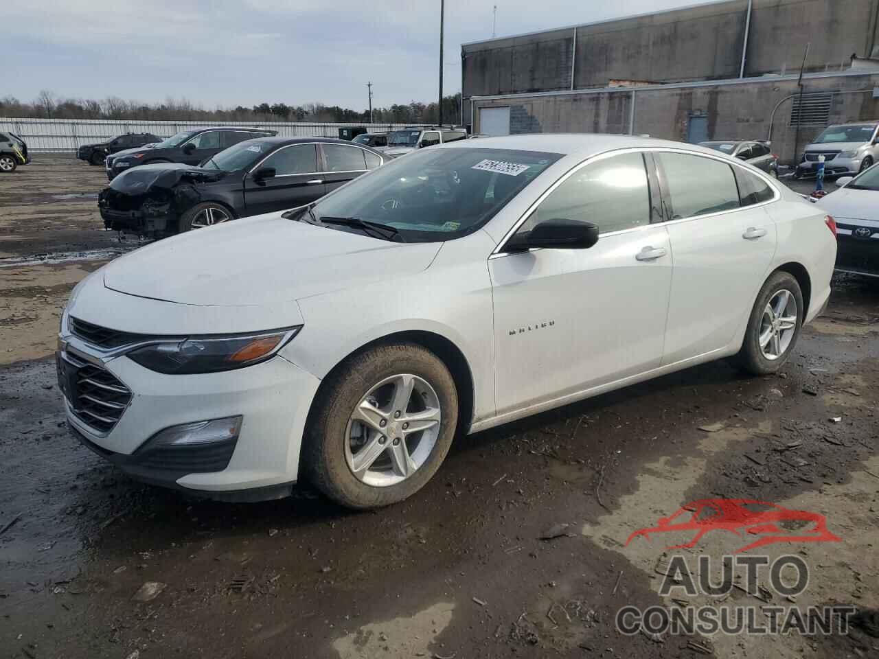 CHEVROLET MALIBU 2023 - 1G1ZB5ST4PF250296