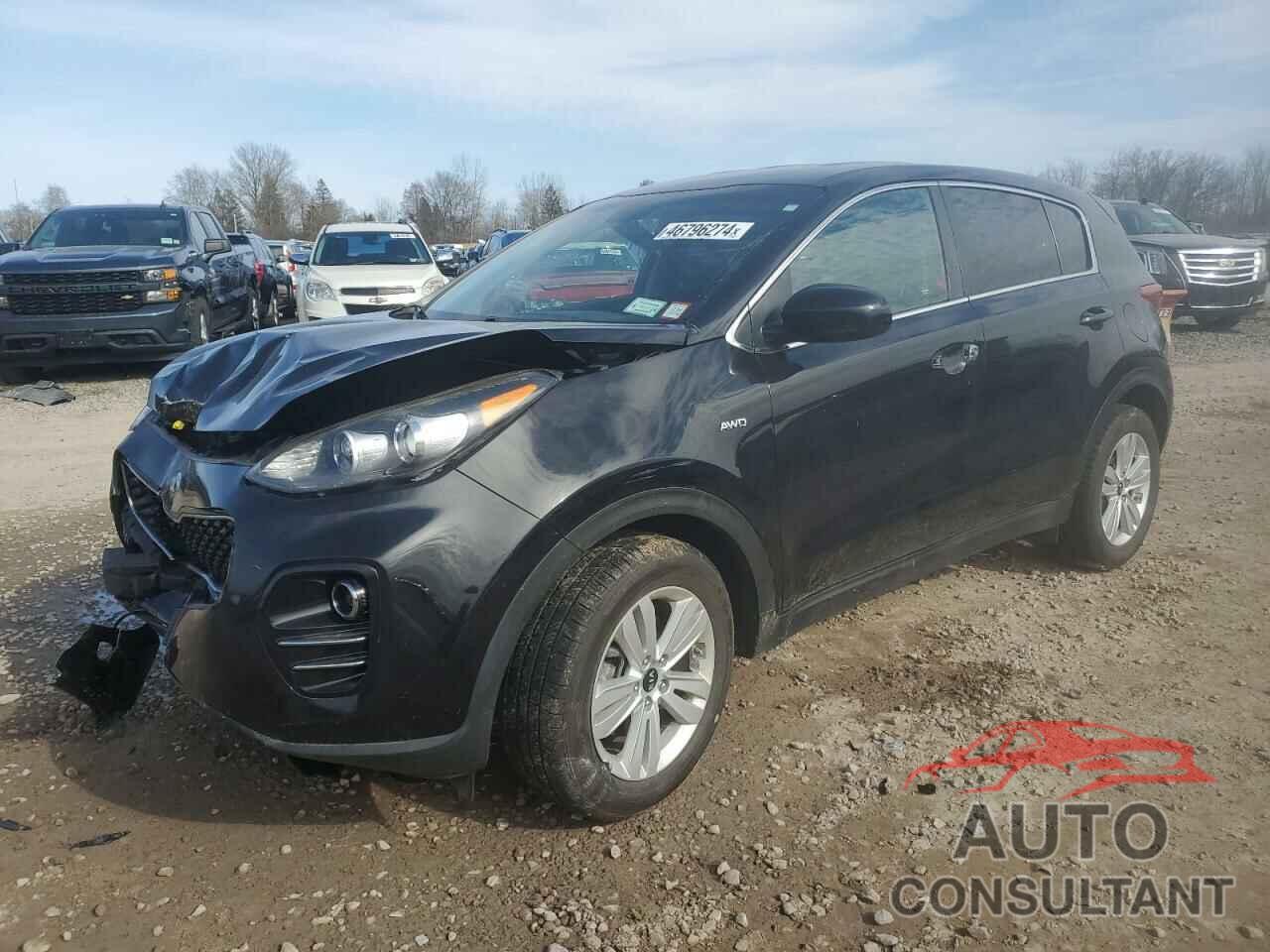 KIA SPORTAGE 2017 - KNDPMCAC1H7293195
