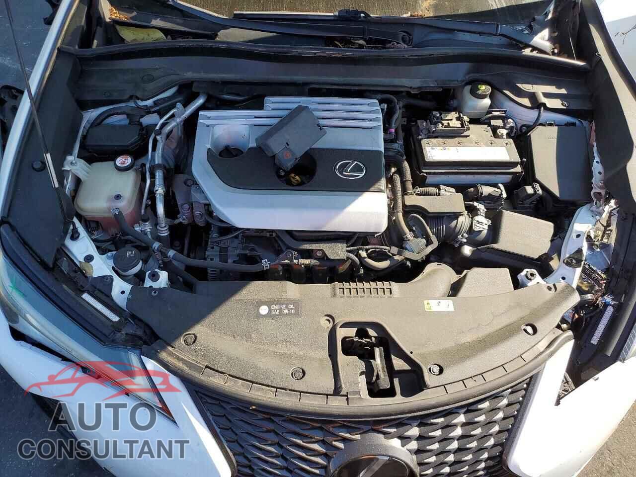 LEXUS UNKNOWN 2019 - JTHY3JBH8K2019985