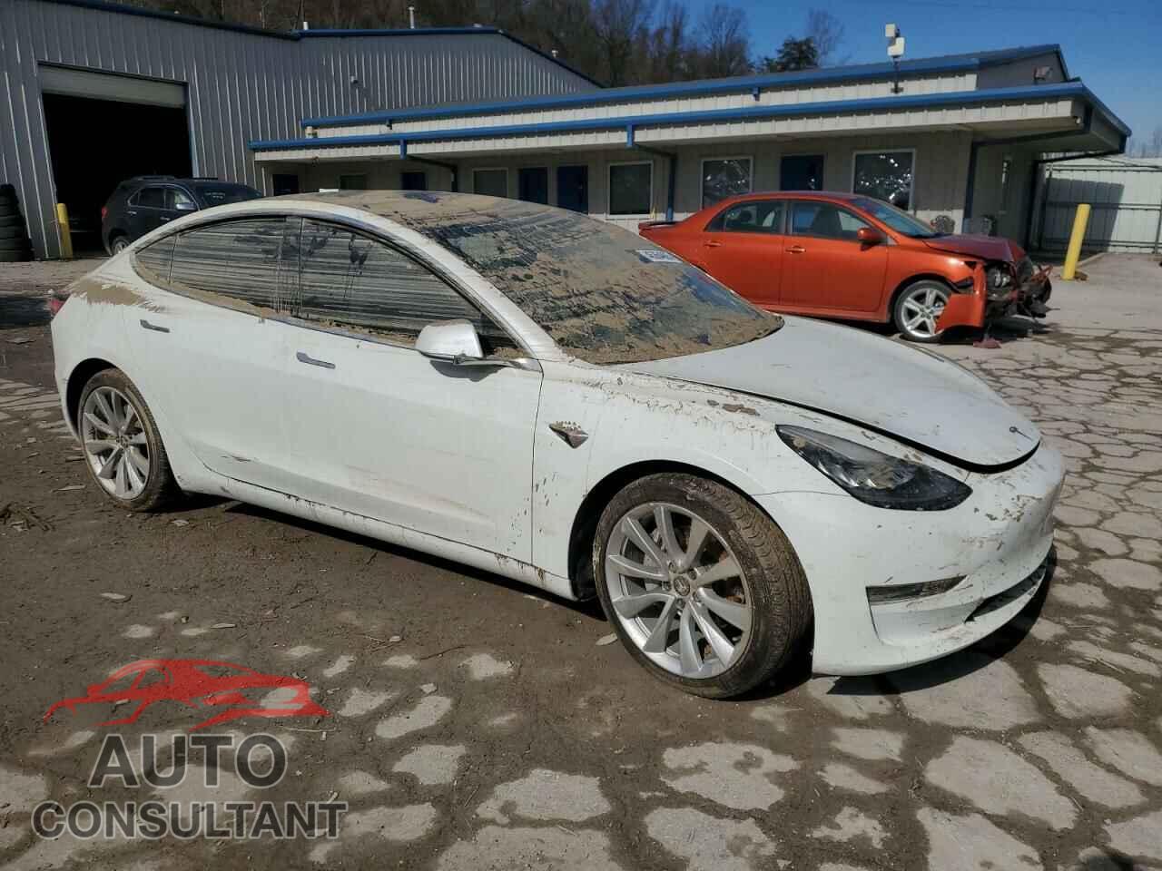TESLA MODEL 3 2019 - 5YJ3E1EA3KF509087