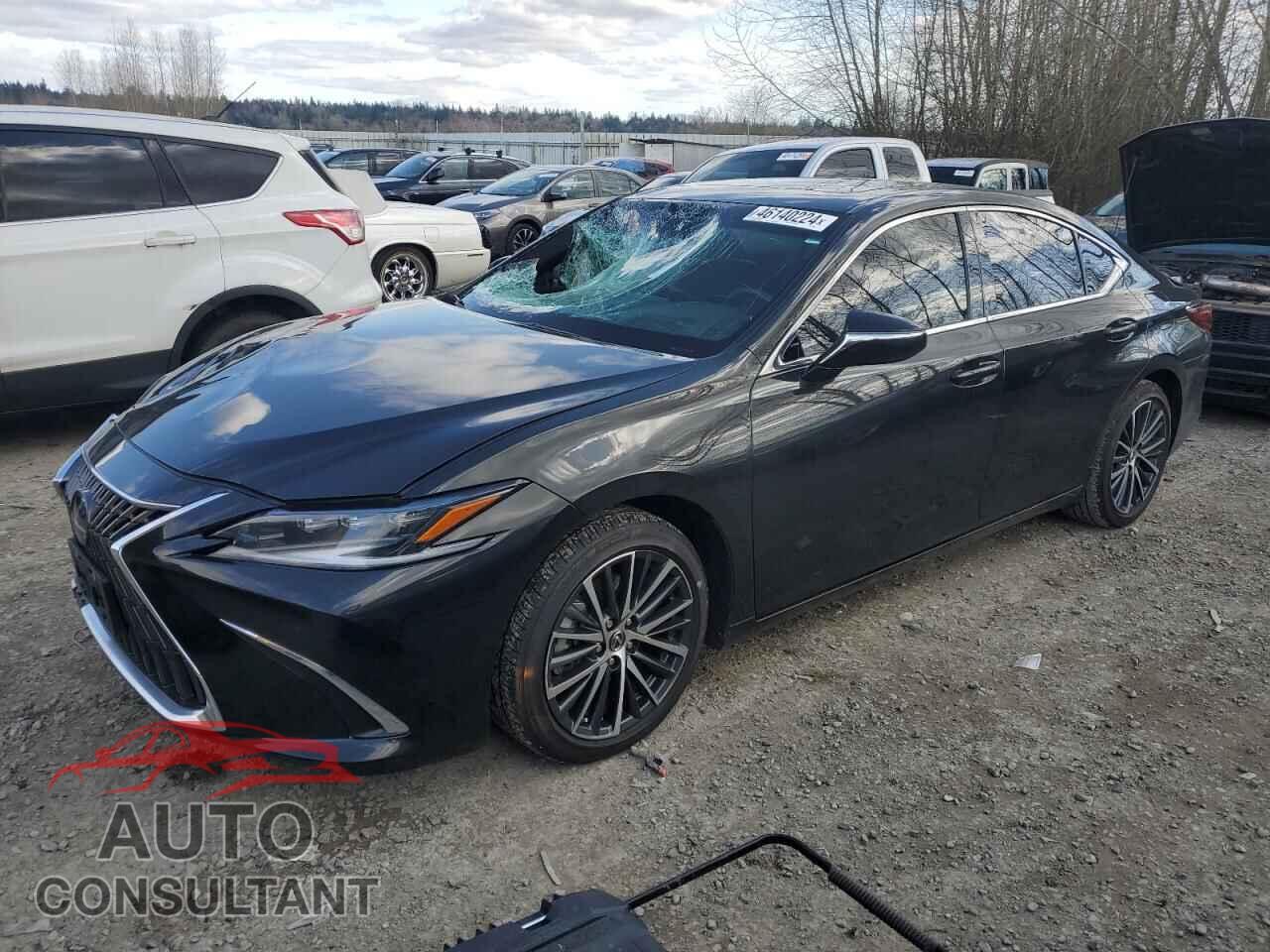 LEXUS ES300 2024 - 58ADA1C16RU037962