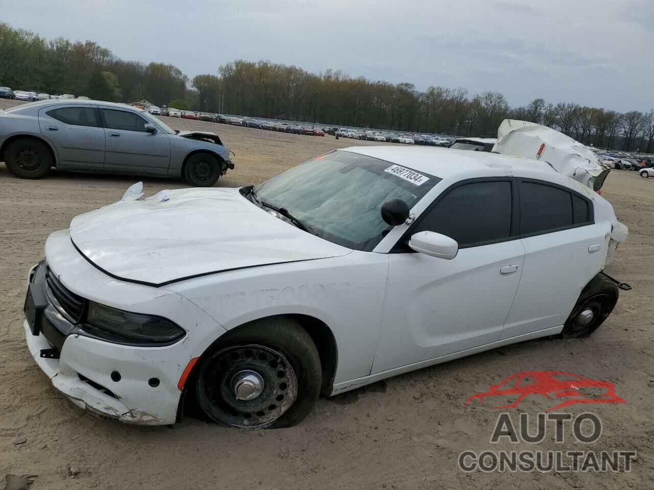 DODGE CHARGER 2019 - 2C3CDXKT2KH730335