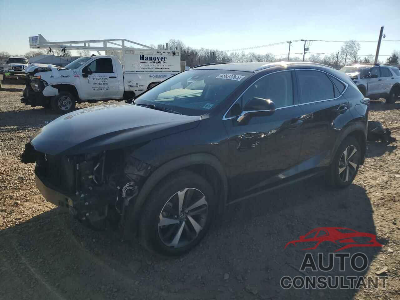 LEXUS NX 2021 - JTJGARDZXM2241256