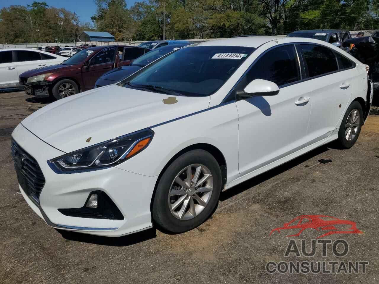 HYUNDAI SONATA 2019 - 5NPE24AF6KH791974