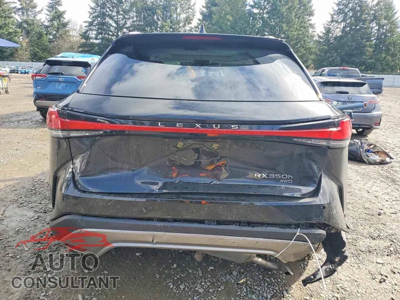 LEXUS UNKNOWN 2026 - 2T2BBMCAXTC113815
