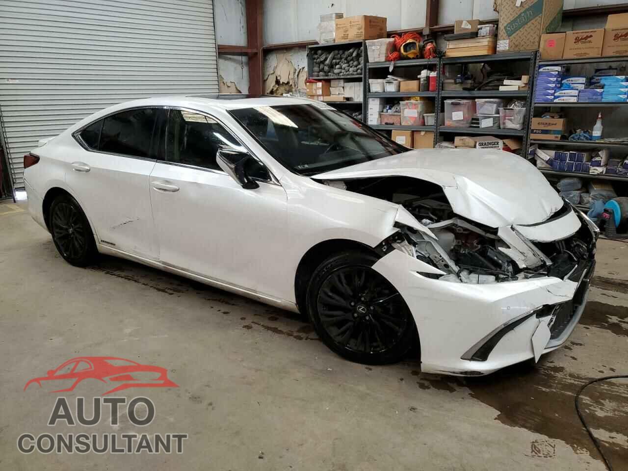 LEXUS ES300 2019 - JTHB21B17K2002493