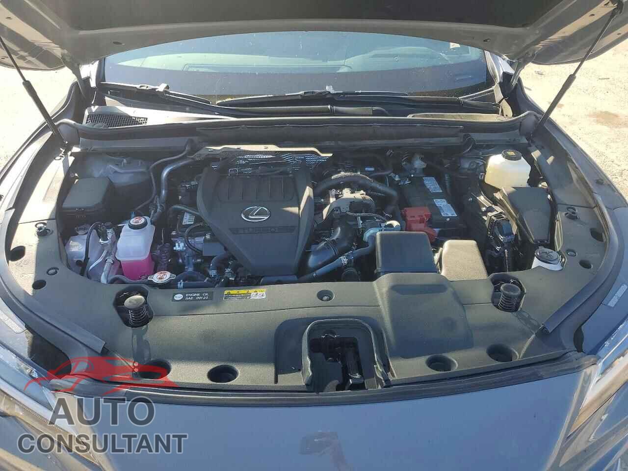 LEXUS RX350 2026 - 2T2BAMCA9TC124856