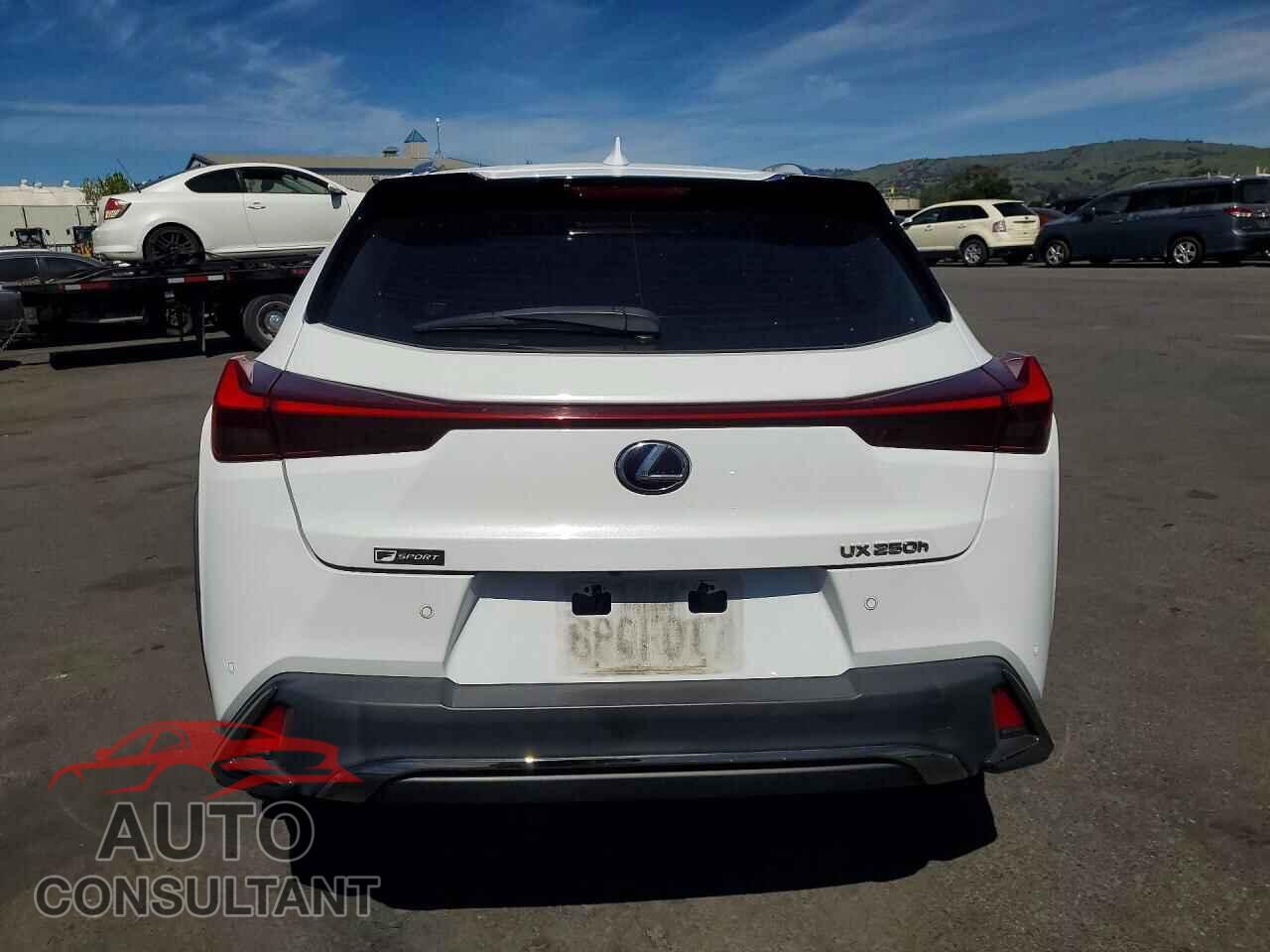 LEXUS UNKNOWN 2020 - JTHR9JBH2L2021705