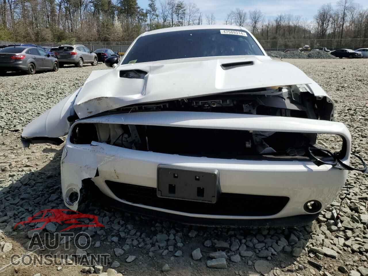 DODGE CHALLENGER 2021 - 2C3CDZAG9MH619316