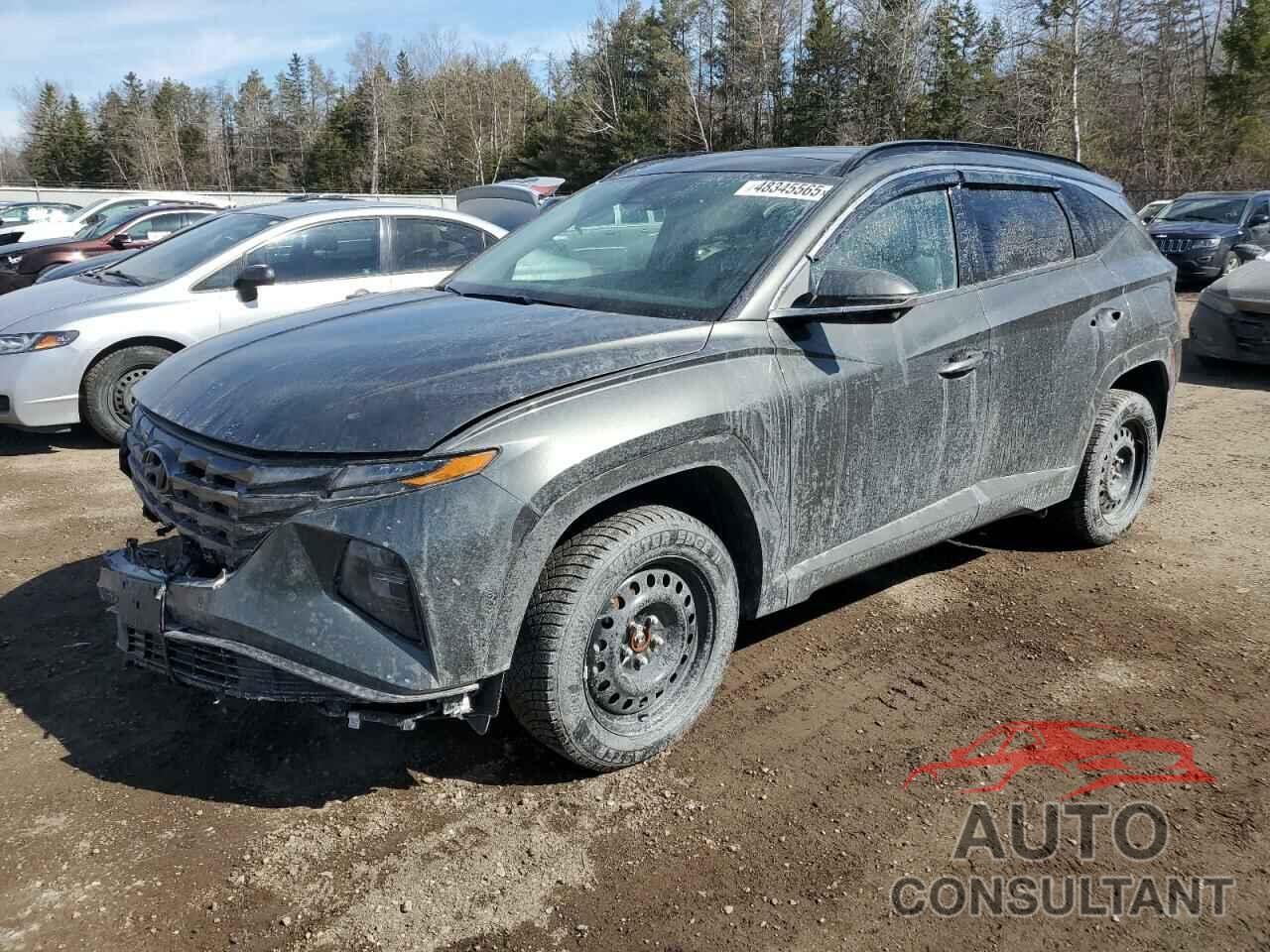 HYUNDAI TUCSON 2024 - KM8JCCD1XRU162395