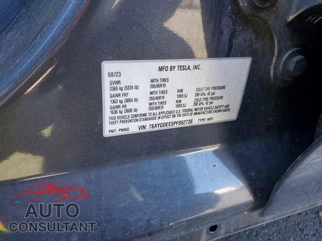 TESLA MODEL Y 2023 - 7SAYGDEE5PF862736