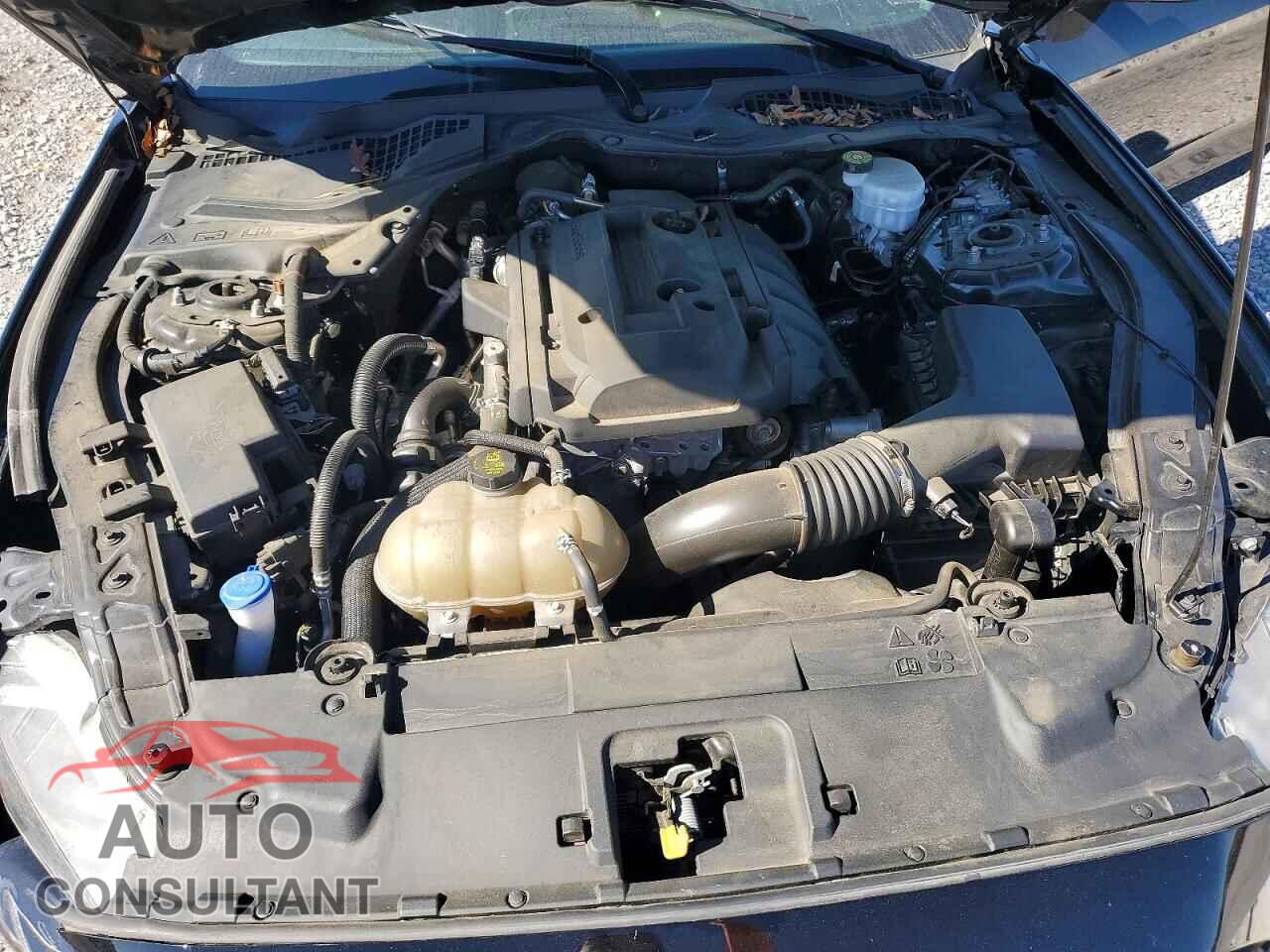 FORD MUSTANG 2020 - 1FA6P8TH2L5184778