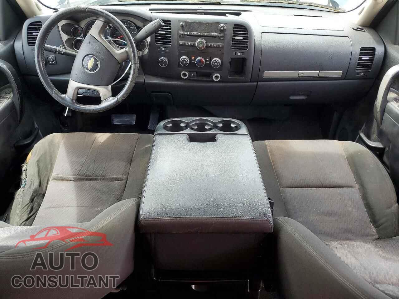 CHEVROLET SILVERADO 2010 - 1GCSKSEA8AZ214831