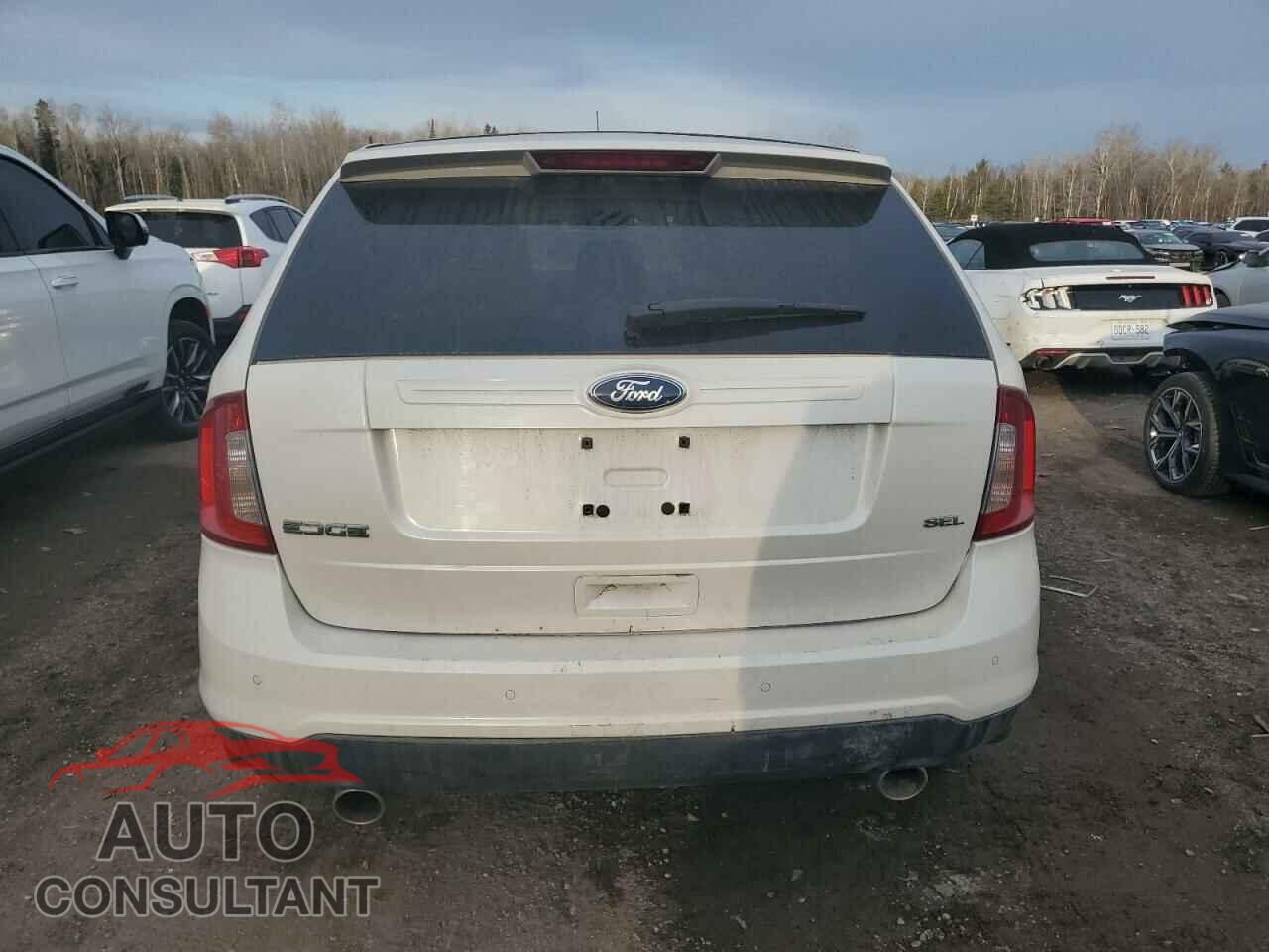 FORD EDGE 2011 - 2FMDK3JC0BBA89989