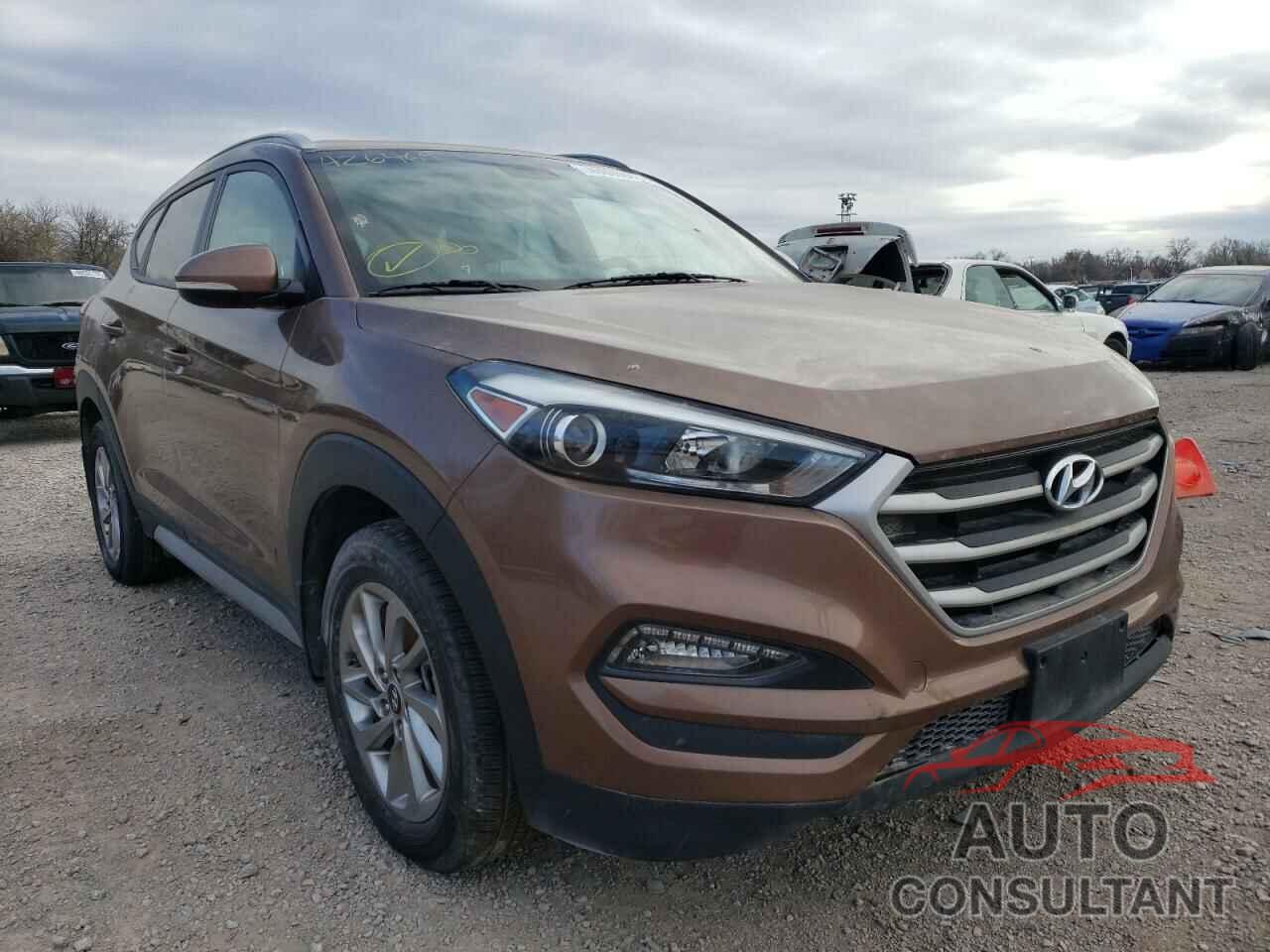HYUNDAI TUCSON 2017 - KM8J33A41HU426469