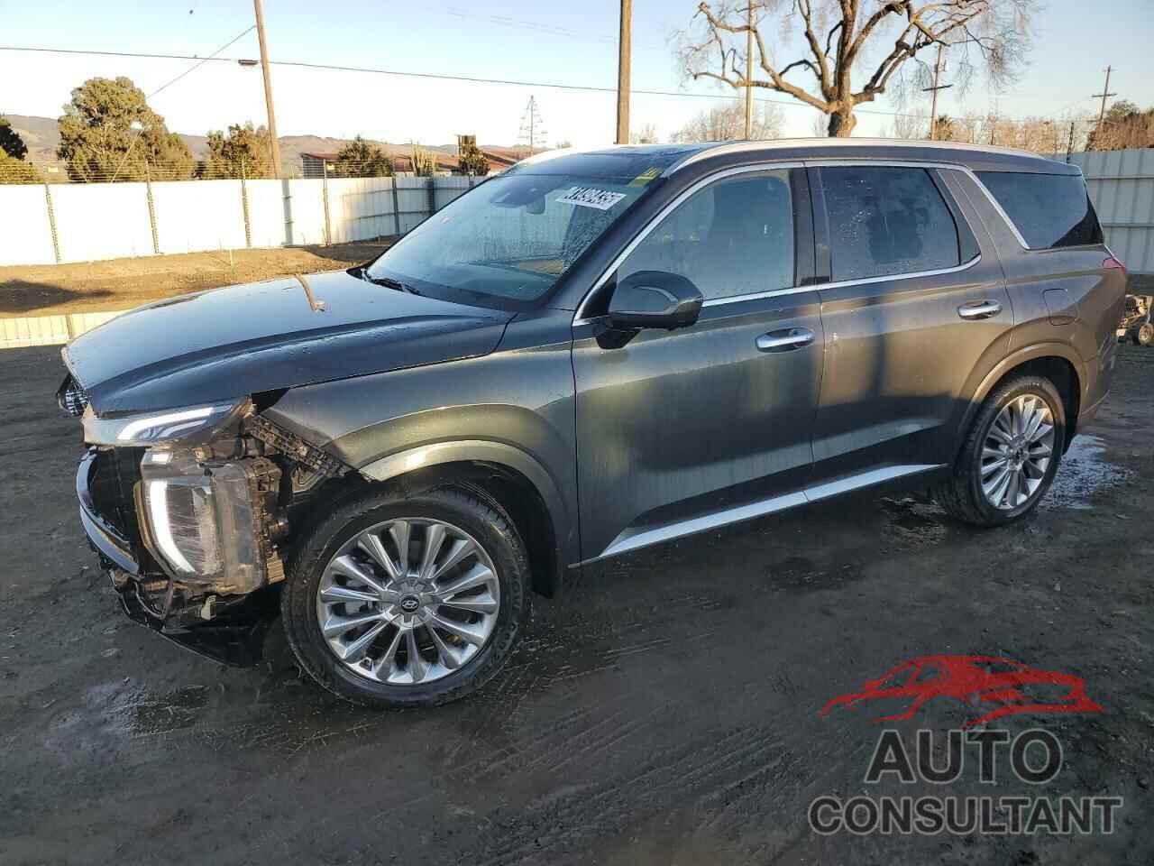 HYUNDAI PALISADE 2020 - KM8R54HE6LU169688