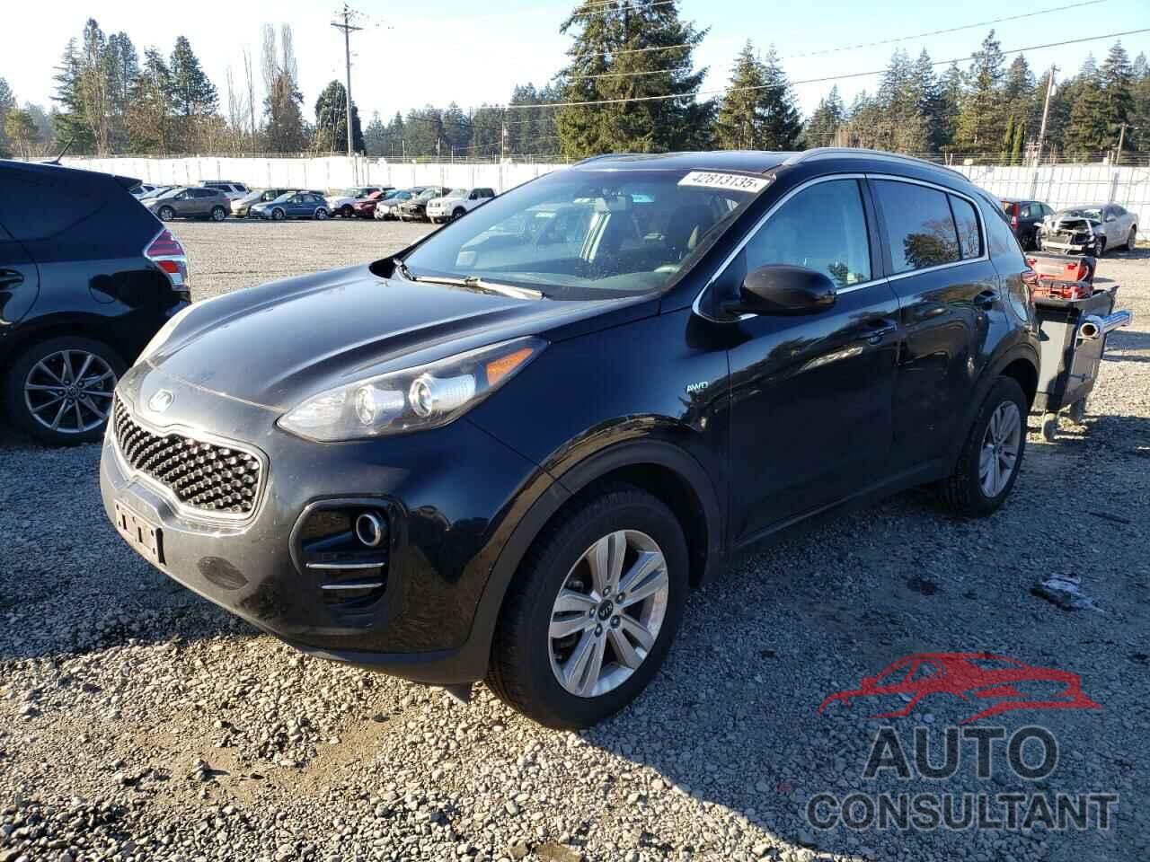 KIA SPORTAGE 2017 - KNDPMCAC7H7108194