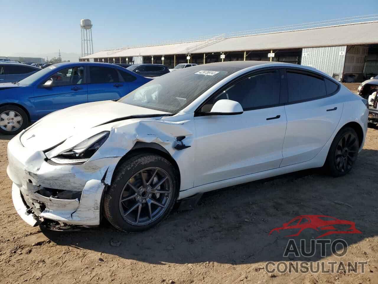 TESLA MODEL 3 2021 - 5YJ3E1EA1MF928865