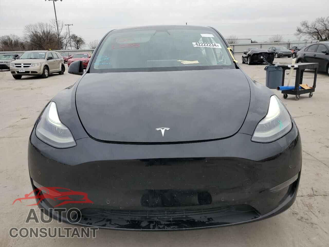 TESLA MODEL Y 2022 - 7SAYGDEF7NF446175