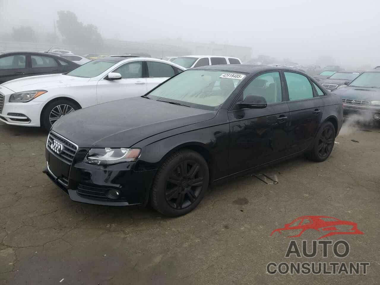 AUDI A4 2009 - WAULF78K69N056290