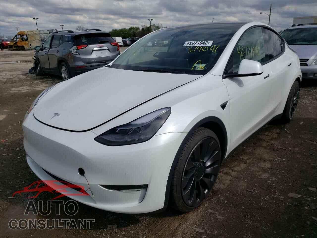 TESLA MODEL Y 2022 - 7SAYGDEF2NF319091
