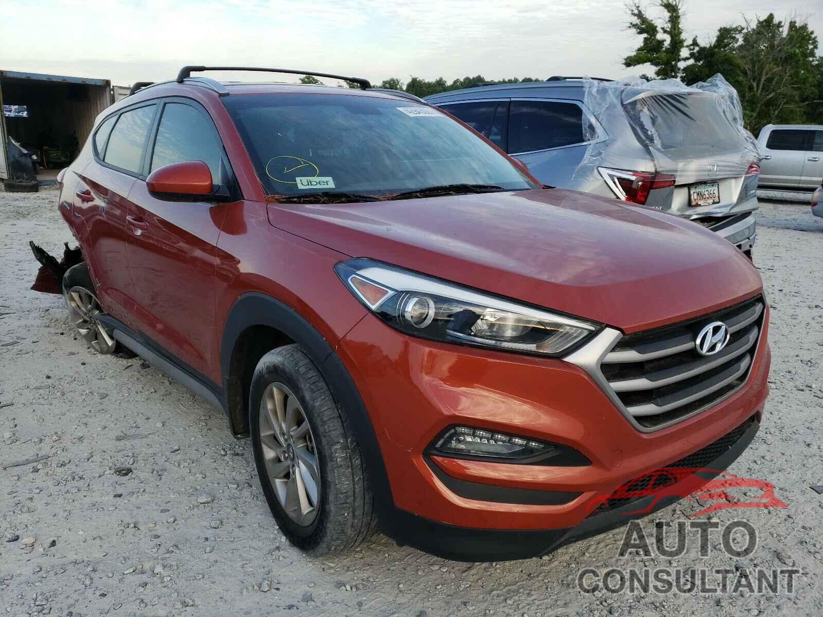HYUNDAI TUCSON 2017 - KM8J33A46HU549930