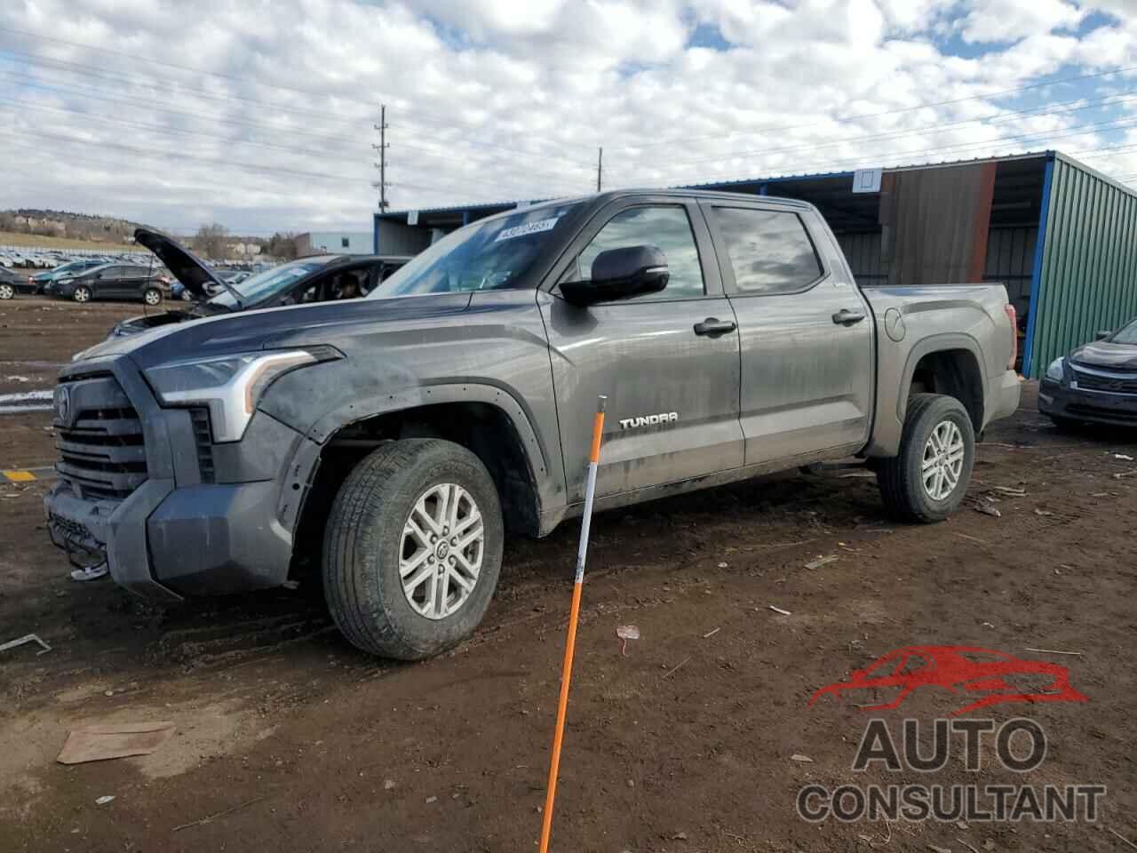 TOYOTA TUNDRA 2024 - 5TFLA5DB3RX148375