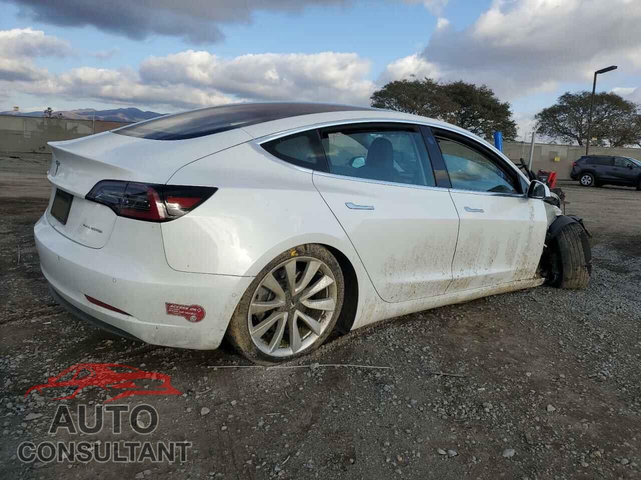 TESLA MODEL 3 2019 - 5YJ3E1EB1KF194203